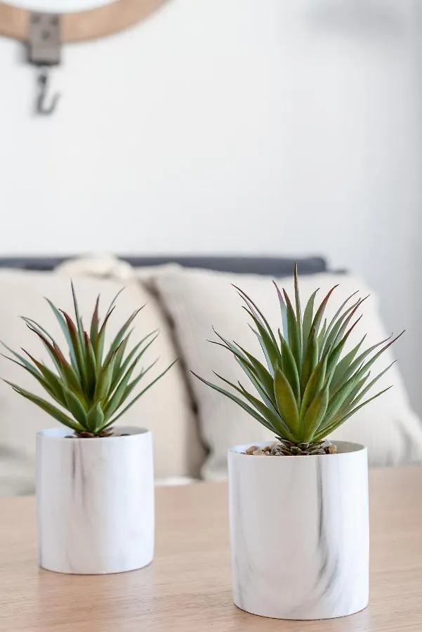 Apartmán Oleholidays Suite Loft Soriano 9 Marbella Centro Španělsko