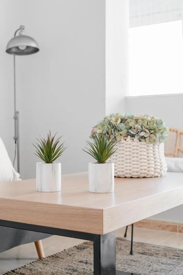 Oleholidays Suite Loft Soriano 9 Marbella Centro Apartment